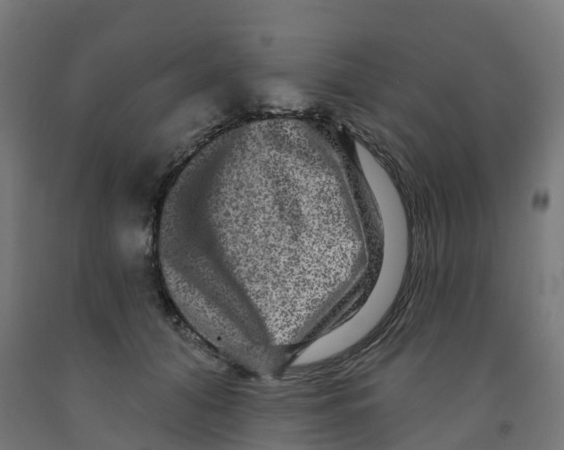 X0000091890608200710031804