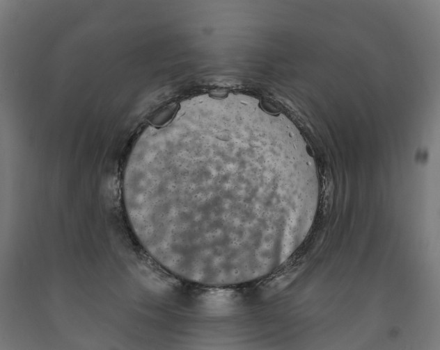 X0000091890609200710031804