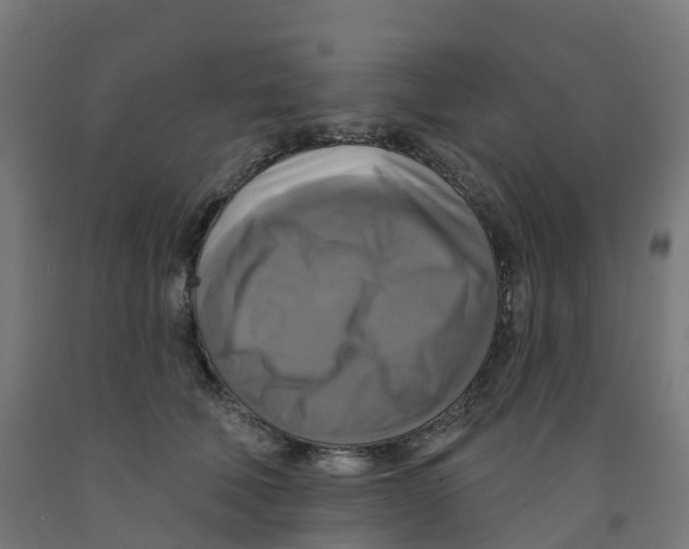 X0000091890610200710031804