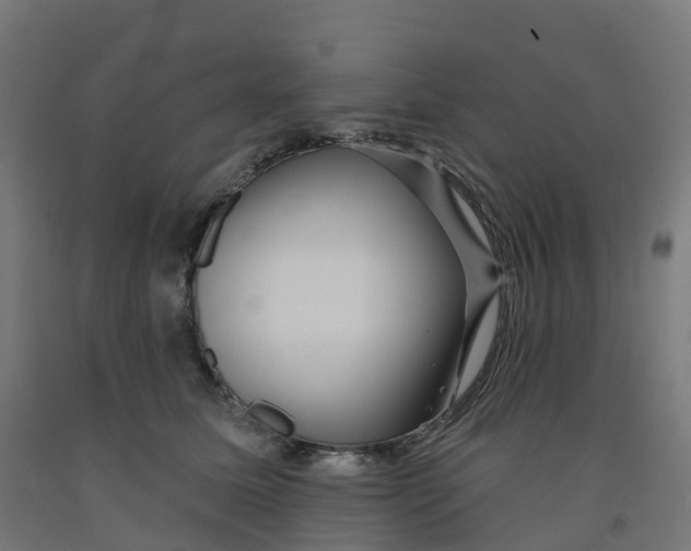 X0000091890611200710031804