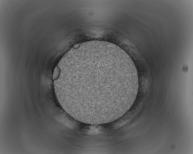 X0000091890612200710031804