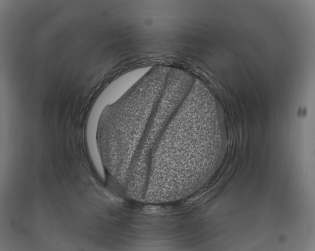 X0000091890613200710031804