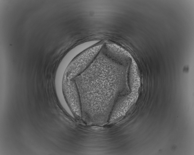 X0000091890617200710031804