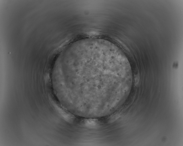 X0000091890618200710031804