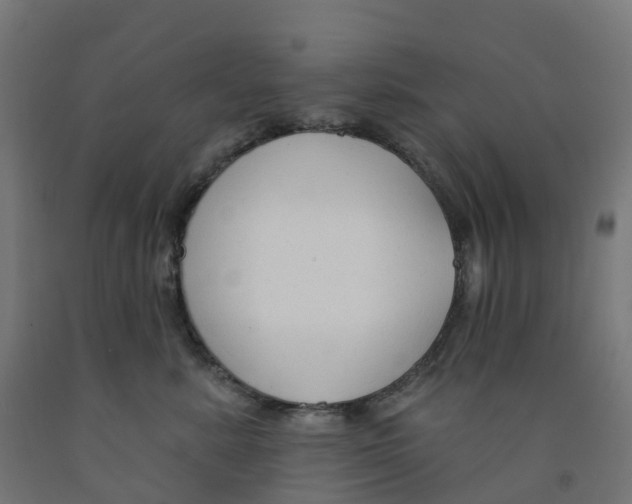 X0000091890619200710031804