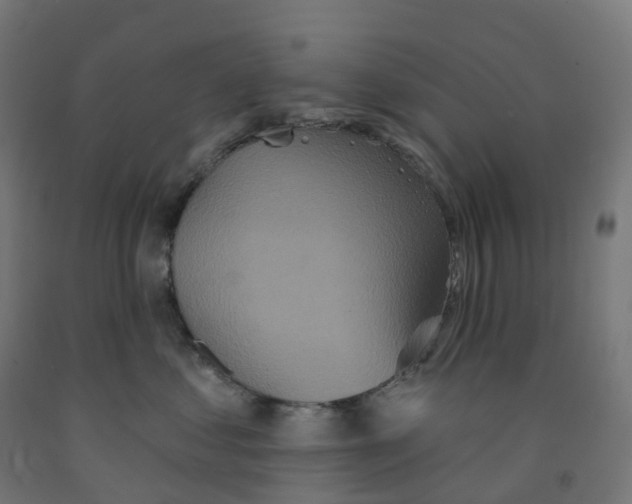 X0000091890621200710031804