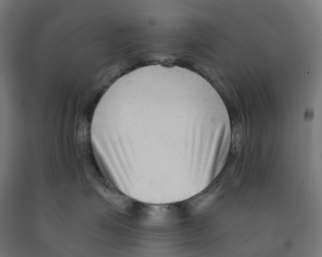 X0000091890623200710031804
