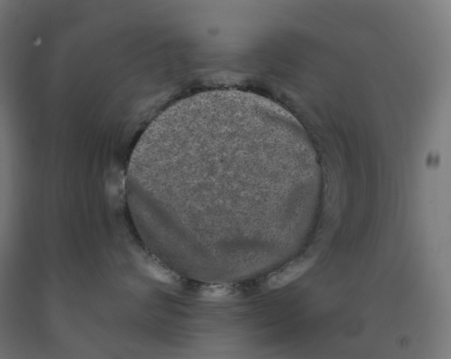 X0000091890624200710031804