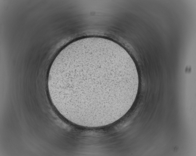 X0000091890625200710031803
