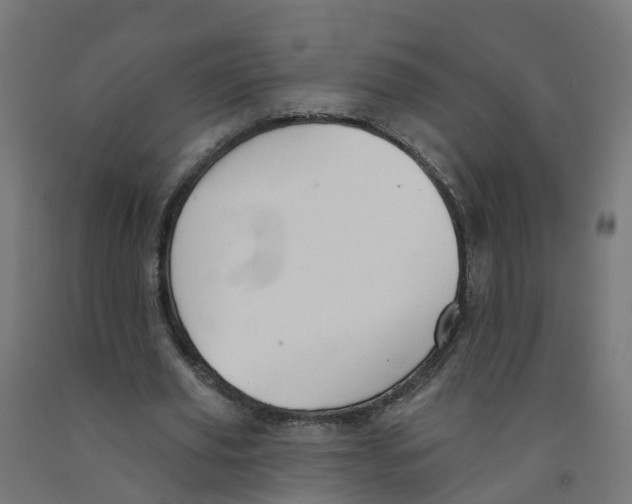 X0000091890629200710031803