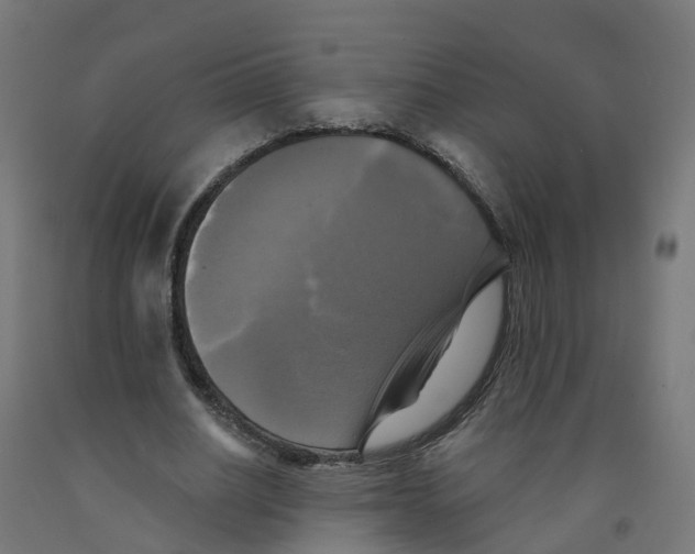 X0000091890630200710031803