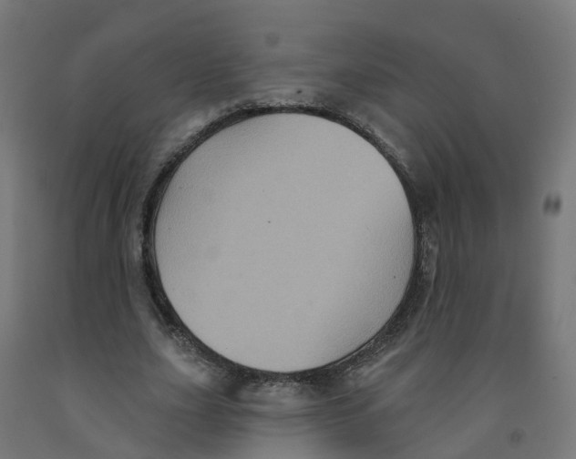 X0000091890631200710031803