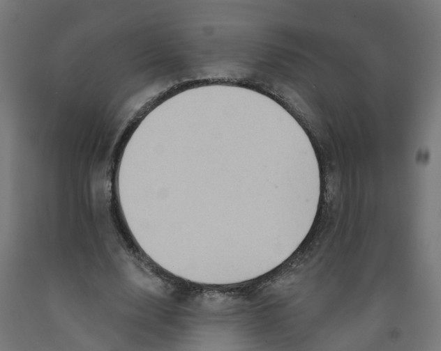 X0000091890632200710031803