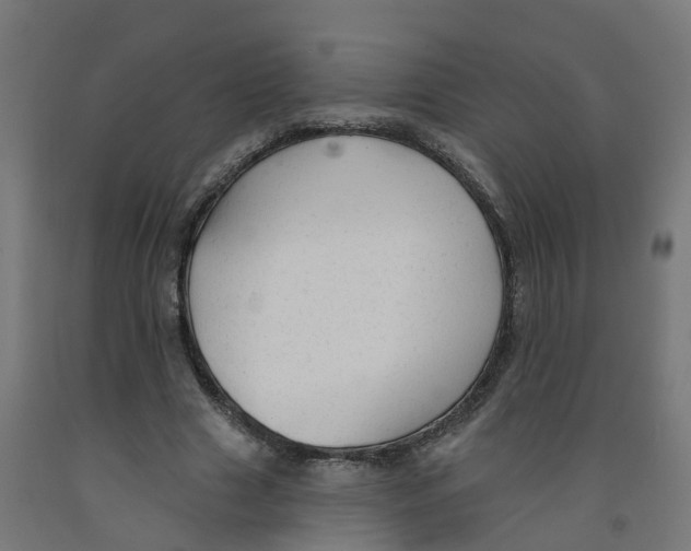 X0000091890633200710031803