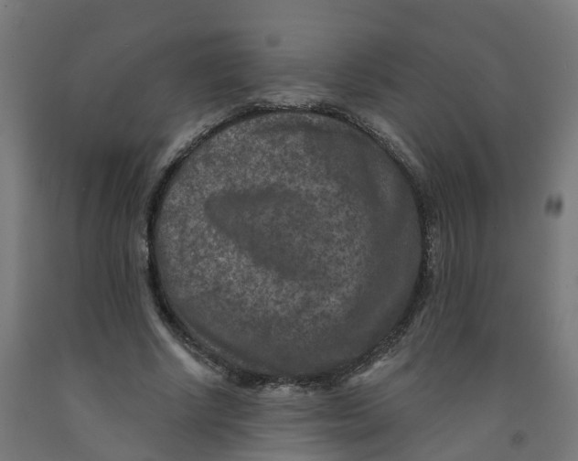 X0000091890634200710031803