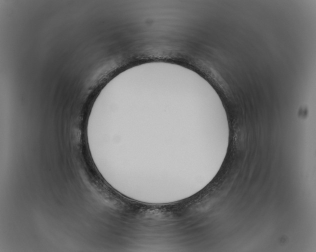 X0000091890635200710031803