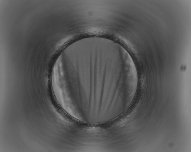 X0000091890637200710031803