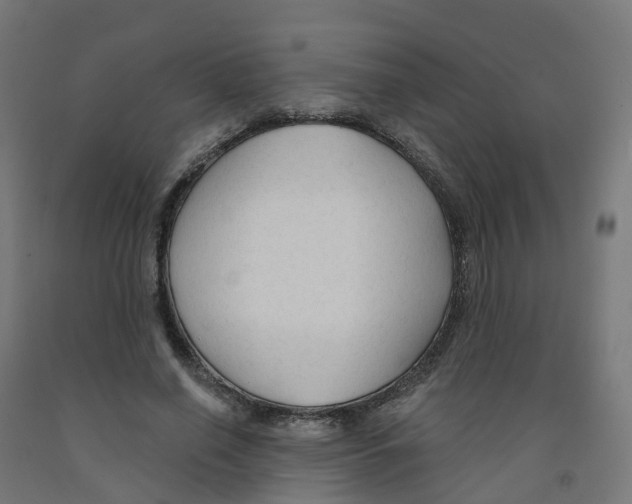 X0000091890638200710031803