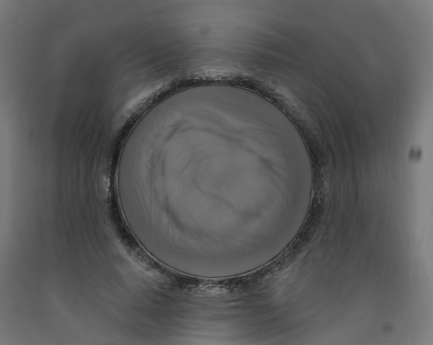 X0000091890640200710031803