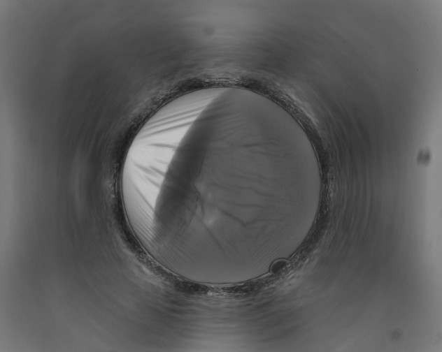 X0000091890641200710031803