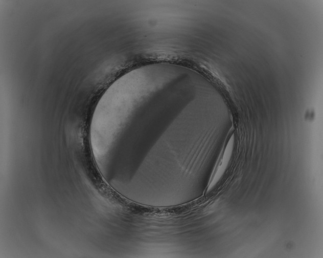 X0000091890643200710031803