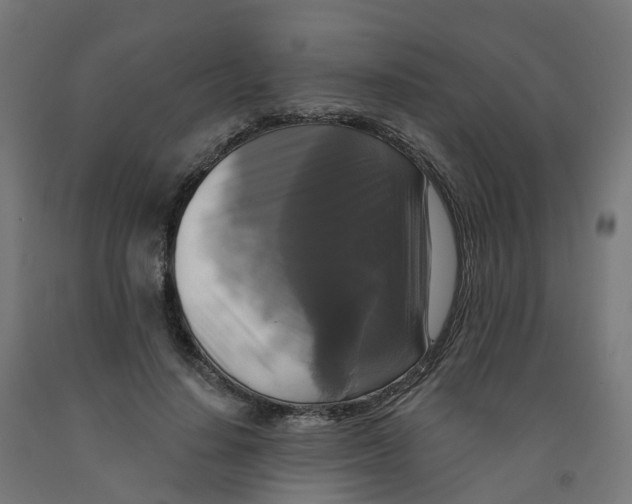 X0000091890644200710031803