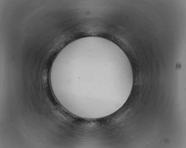 X0000091890646200710031803