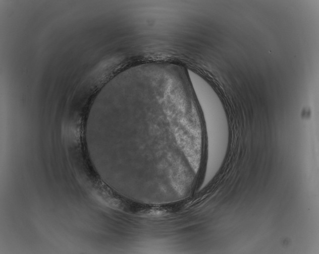 X0000091890647200710031803