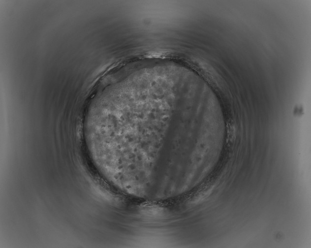 X0000091890648200710031803