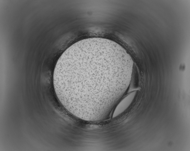 X0000091890649200710031803