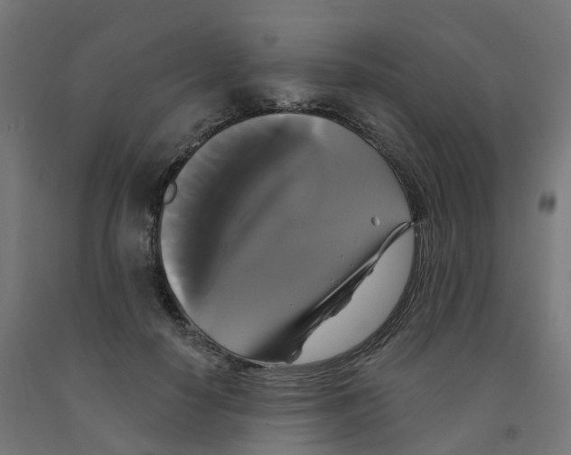 X0000091890650200710031803