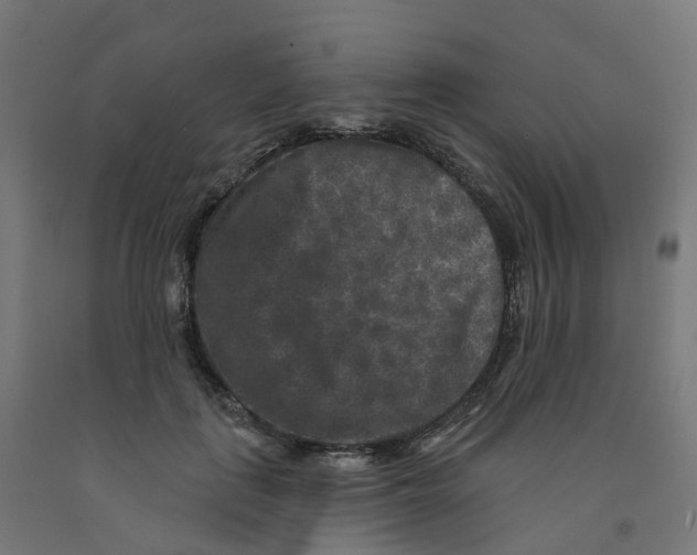X0000091890651200710031803