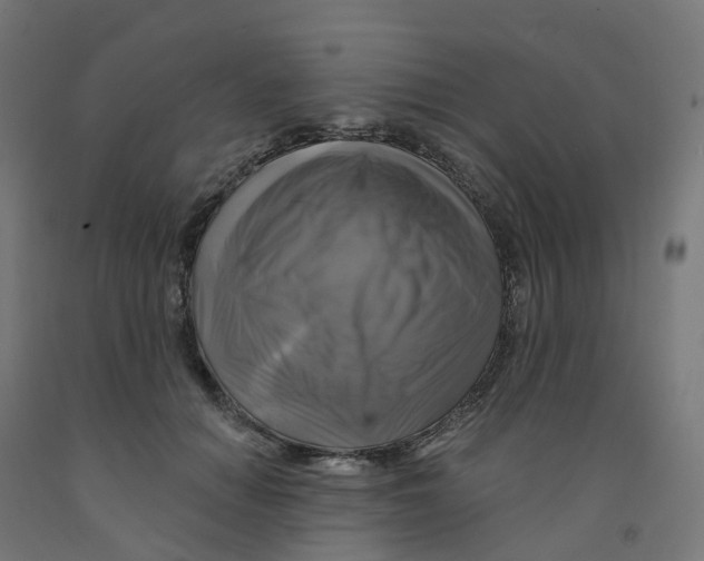 X0000091890654200710031803