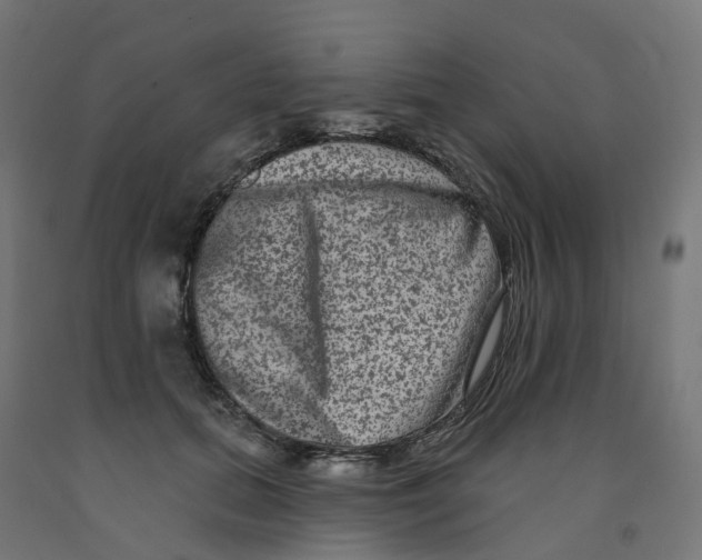 X0000091890655200710031803