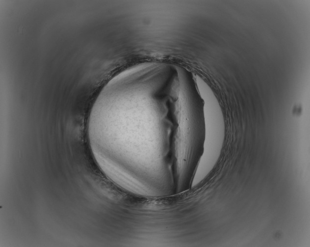 X0000091890656200710031803