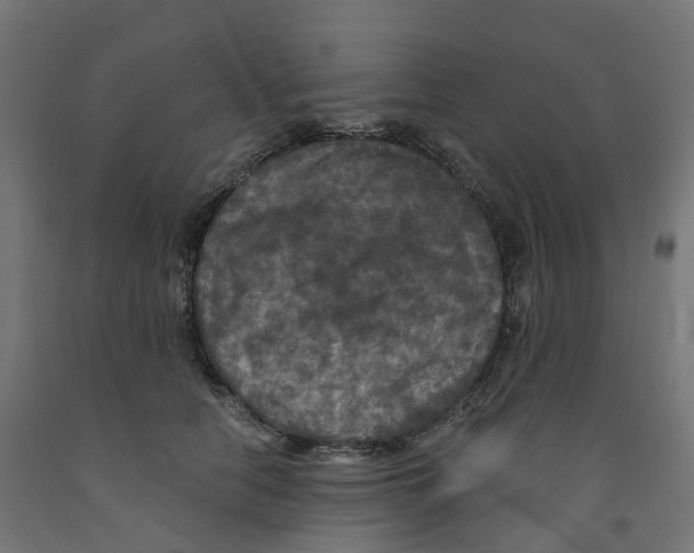 X0000091890658200710031803