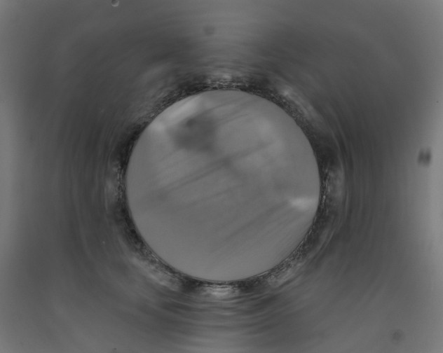 X0000091890659200710031804