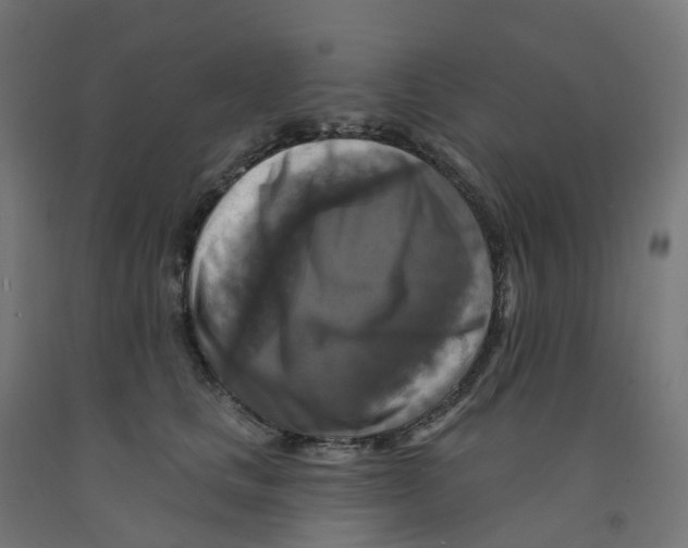 X0000091890661200710031804