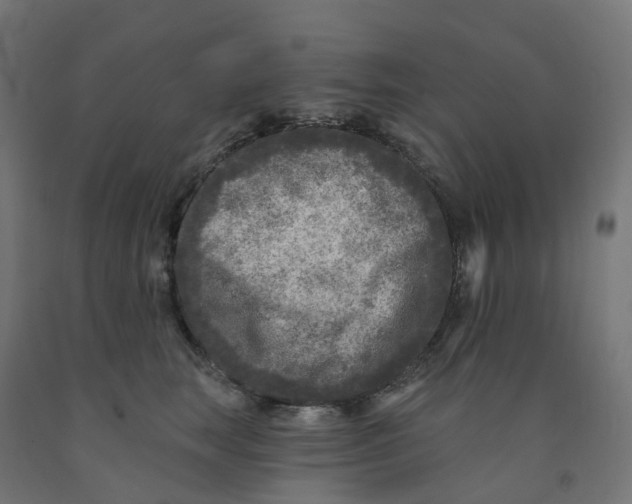 X0000091890663200710031804