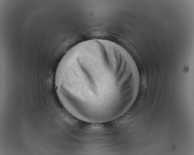 X0000091890668200710031804
