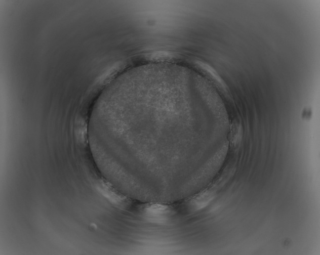 X0000091890669200710031804