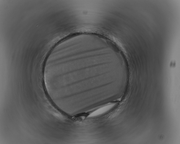 X0000091890673200710031803