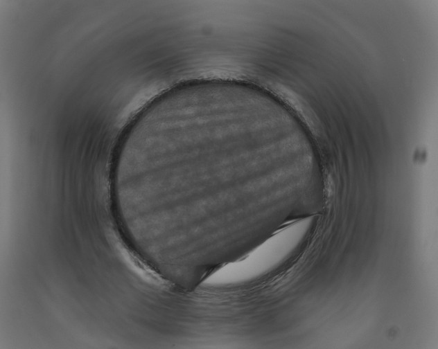 X0000091890677200710031803