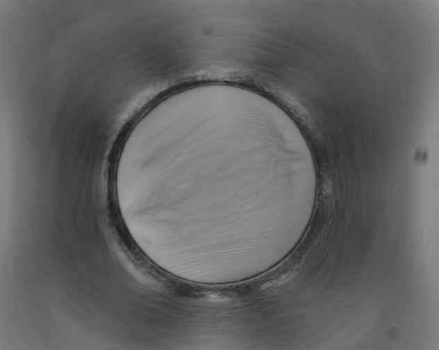 X0000091890678200710031803