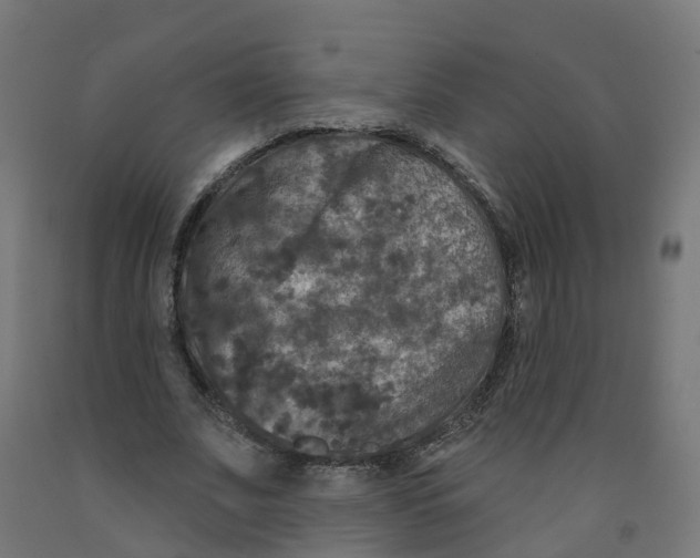 X0000091890679200710031803