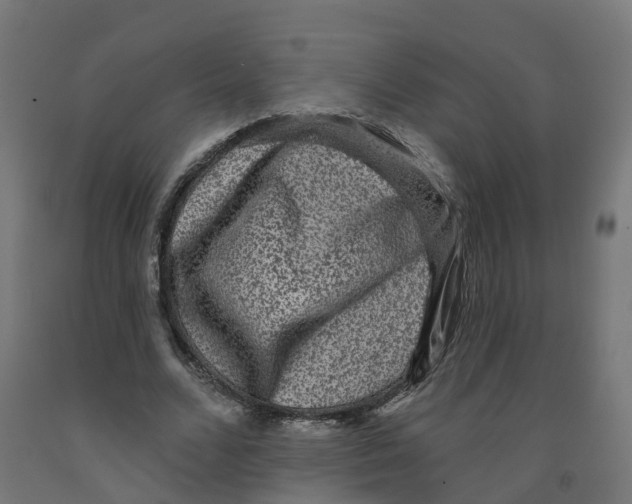 X0000091890680200710031803