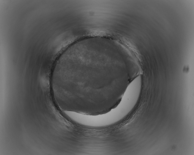 X0000091890681200710031803