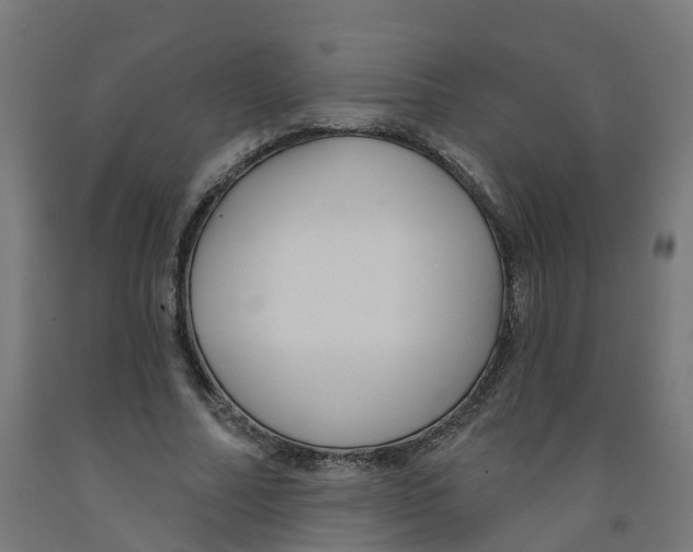 X0000091890682200710031803