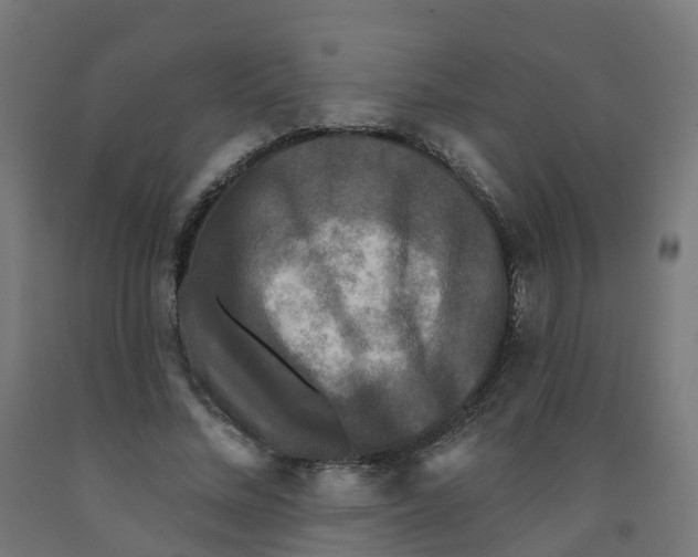 X0000091890684200710031803