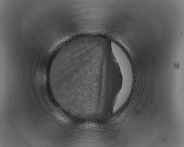 X0000091890685200710031803